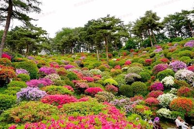 七月南川新景 蔬菜種植新去處，休閑農業新體驗